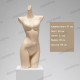 Торсы для трикотажа, нижнего белья Торсы для трикотажа, нижнего белья
